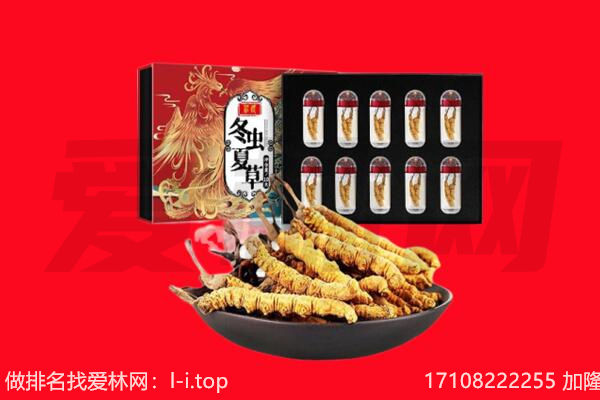 苏州市常熟回收虫草.jpg